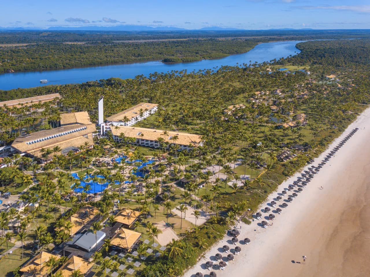 Resort à beira-mar cercado por coqueiros e natureza