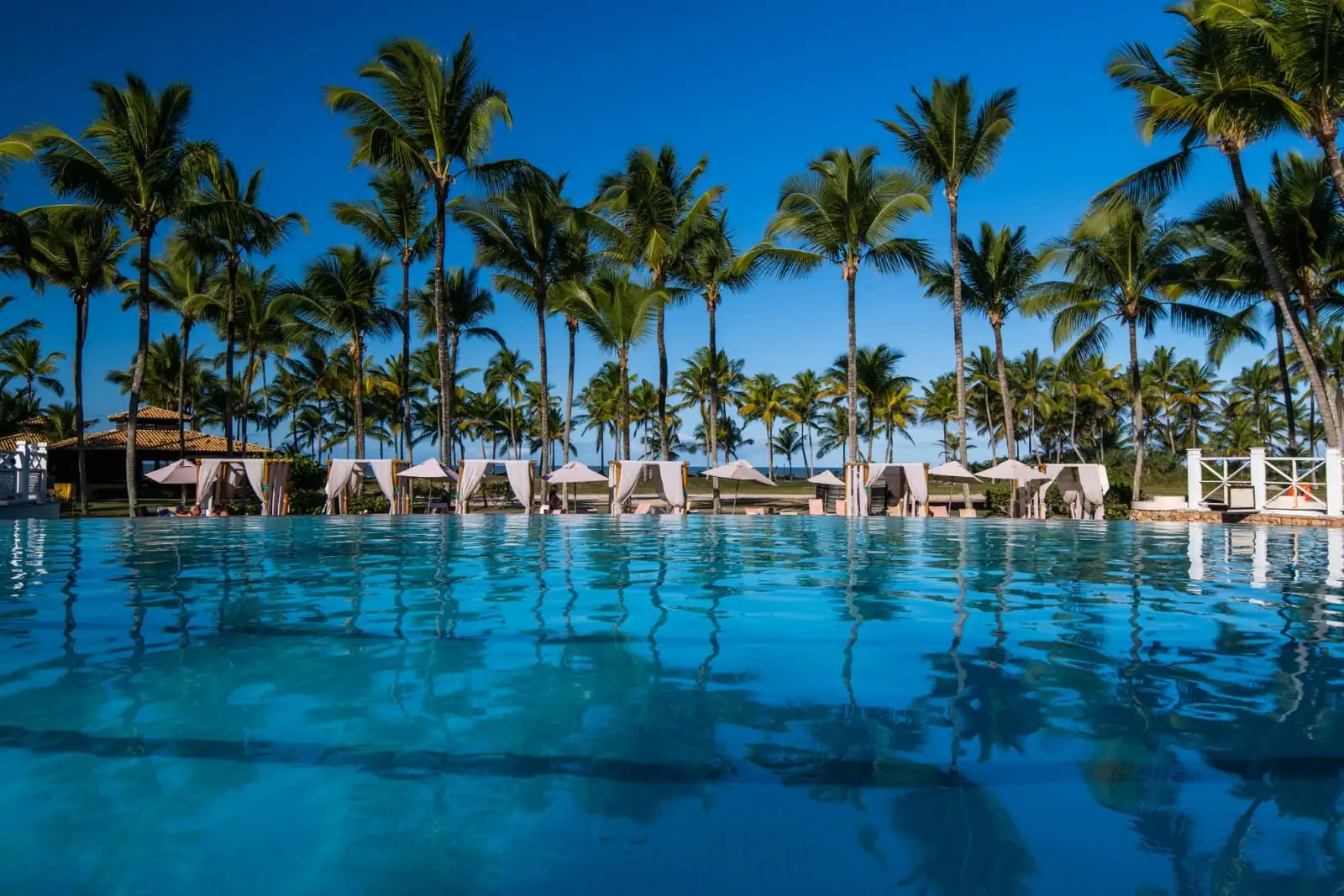 Piscina ampla cercada por coqueiros em resort