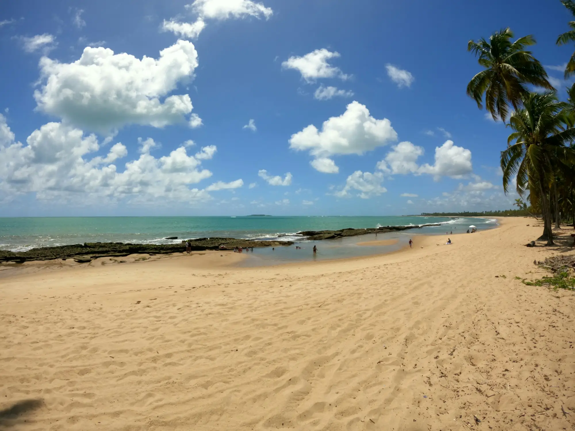 Praia de areia clara com coqueiros e piscinas naturais em Pernambuco